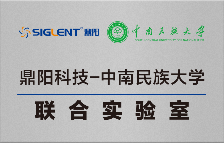 中南民族大学-鼎阳科技联合实验室